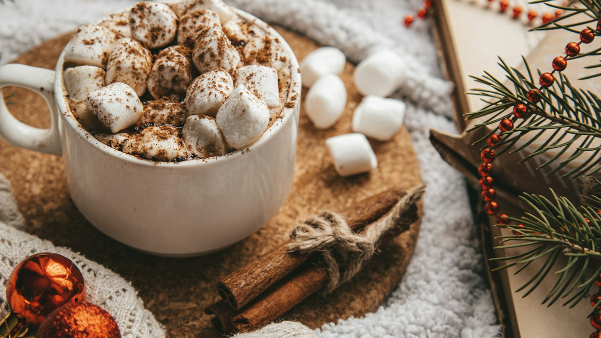 Mug of hot chocolate topped with marshmallows on a cozy knit blanket with pine branches and red Christmas beads