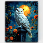 Moonlit Majesty paint by numbers kit of a regal white owl beneath a glowing full moon and night roses