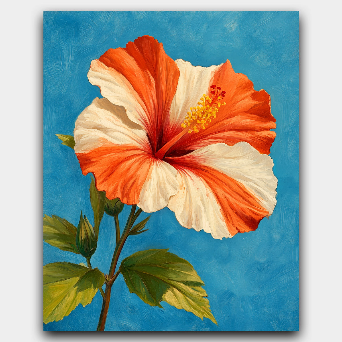 Orange hibiscus
