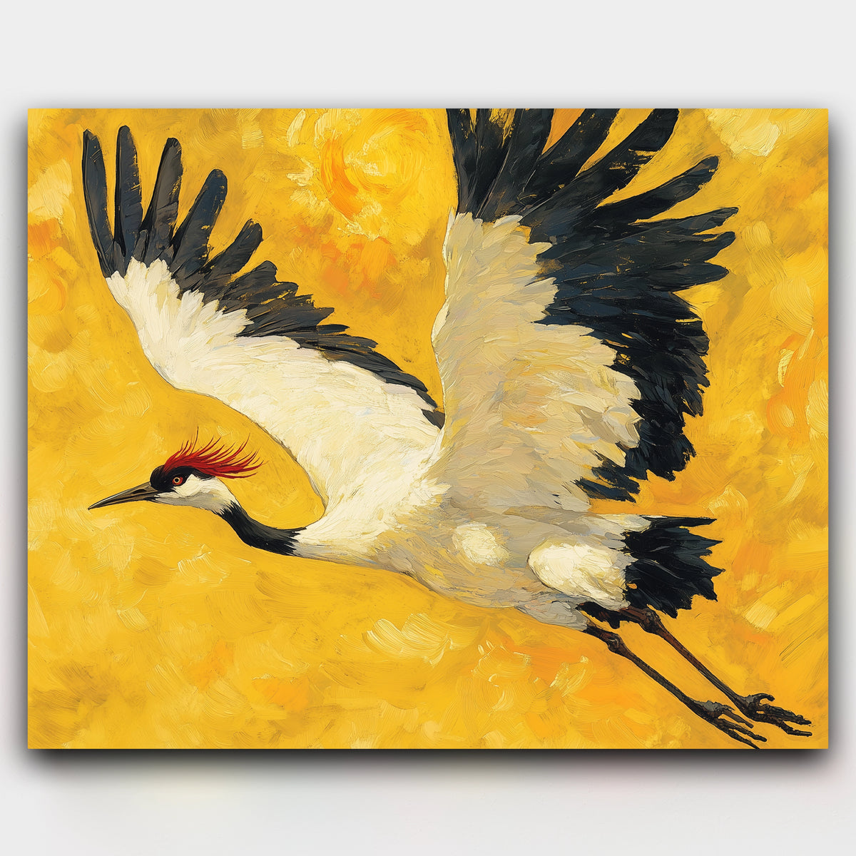 Crane Flight