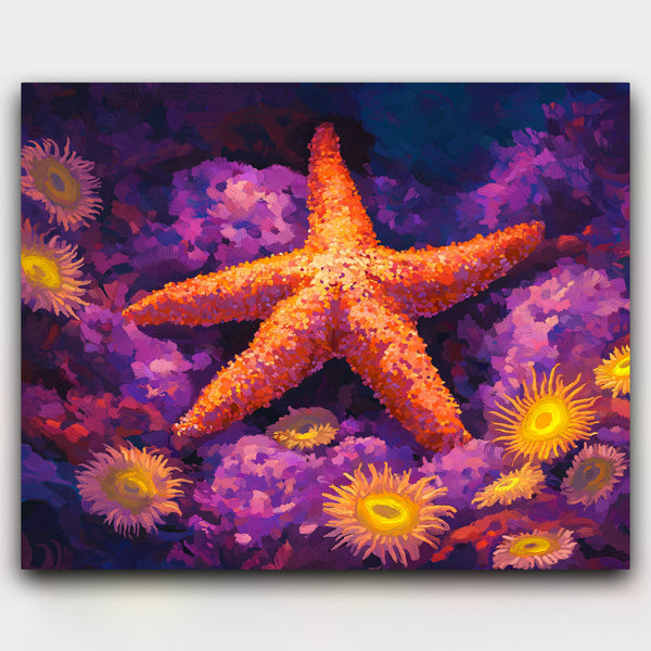 Ocean's Shining Star