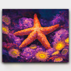 Ocean's Shining Star paint by numbers kit with an ocean-themed design for relaxing seaside painting