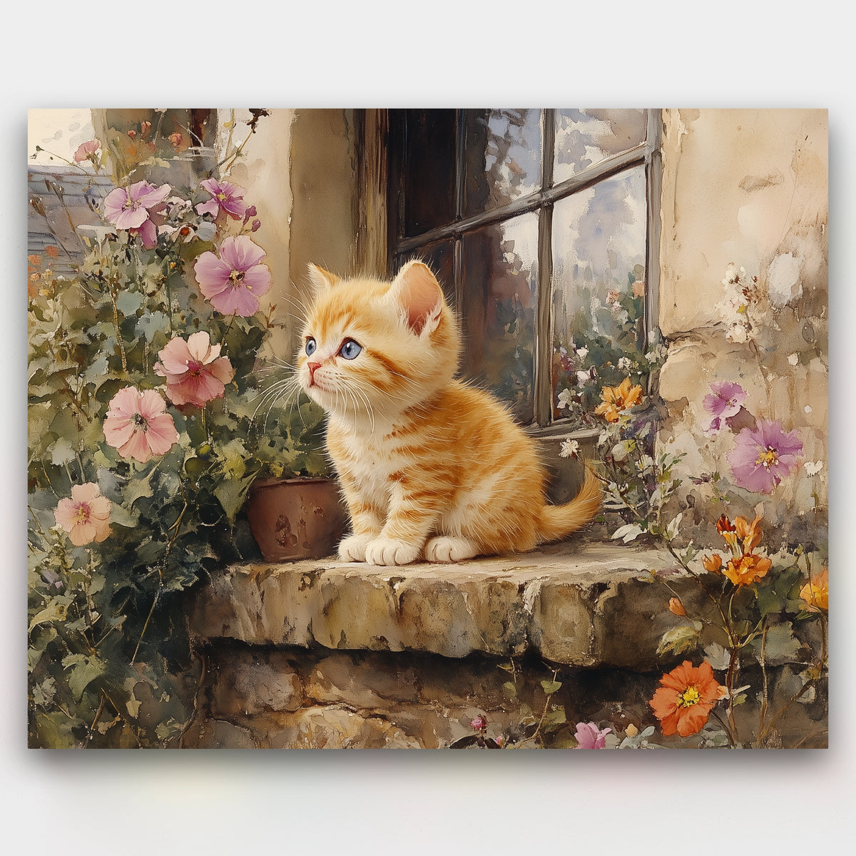 Curious Kitten