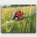 Ladybug’s Morning Walk paint by numbers kit of a ladybug on dew-covered grass in morning light