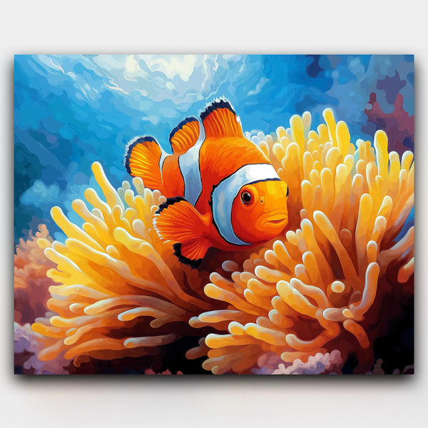 Clownfish Haven