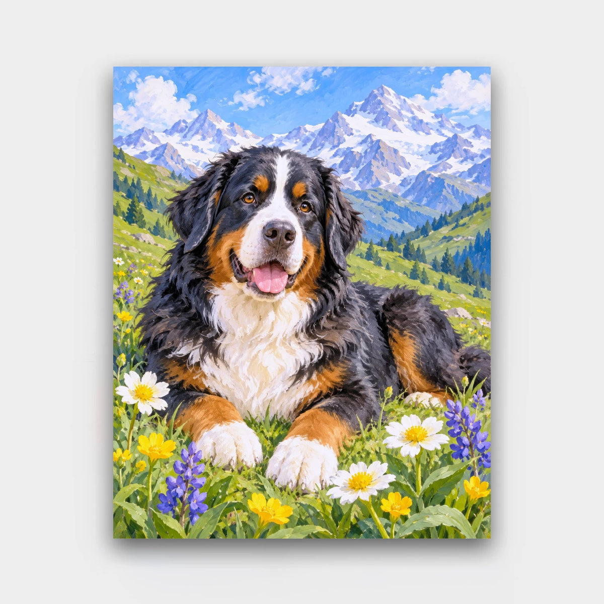 Alpine Meadow Bernese paint by numbers kit of a Bernese mountain dog lying in a wildflower meadow below snowy peaks