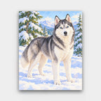 Blue-Eyed Husky paint by numbers kit of a Siberian husky with blue eyes standing in a snowy pine forest