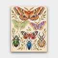 Cabinet of Moths paint by numbers kit of colorful moths, a luna moth and jewel beetles arranged on aged paper