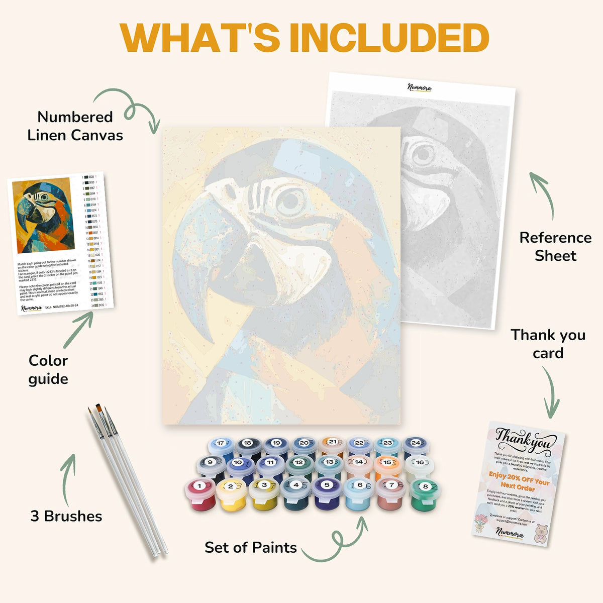 What's included in the Color Burst Parrot paint by numbers kit: numbered linen canvas, reference sheet, color guide, 24 acrylic paints, 3 brushes and thank you card