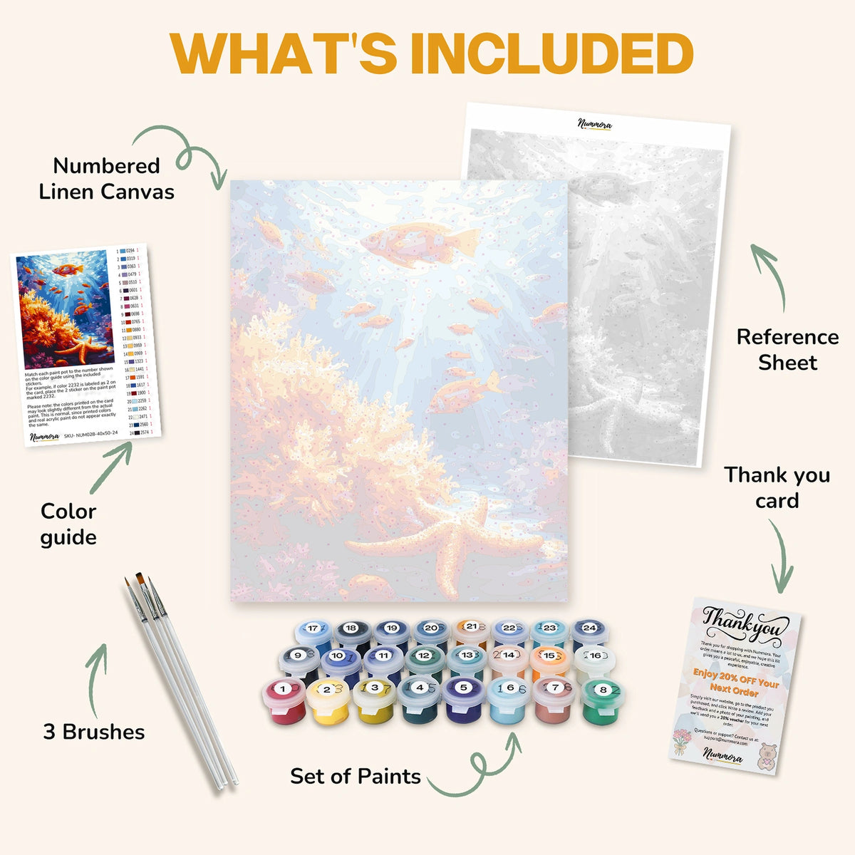 What's included in the Coral Splendor paint by numbers kit: numbered linen canvas, reference sheet, color guide, 24 acrylic paints, 3 brushes and thank you card