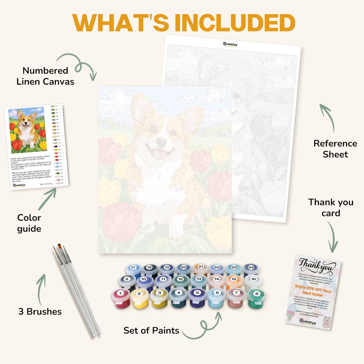 What's included in the Corgi Among Tulips paint by numbers kit: numbered linen canvas, reference sheet, color guide, 24 acrylic paints, 3 brushes and thank you card