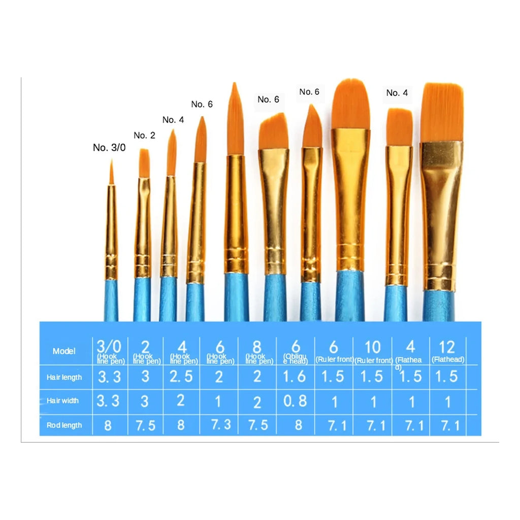 Size chart for the 10 piece paint by numbers brush set showing hair length, width and handle length