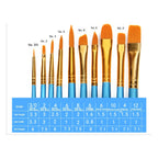 Size chart for the 10 piece paint by numbers brush set showing hair length, width and handle length