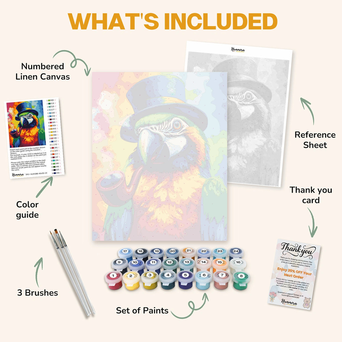 What's included in the Gentleman Parrot paint by numbers kit: numbered linen canvas, reference sheet, color guide, 24 acrylic paints, 3 brushes and thank you card