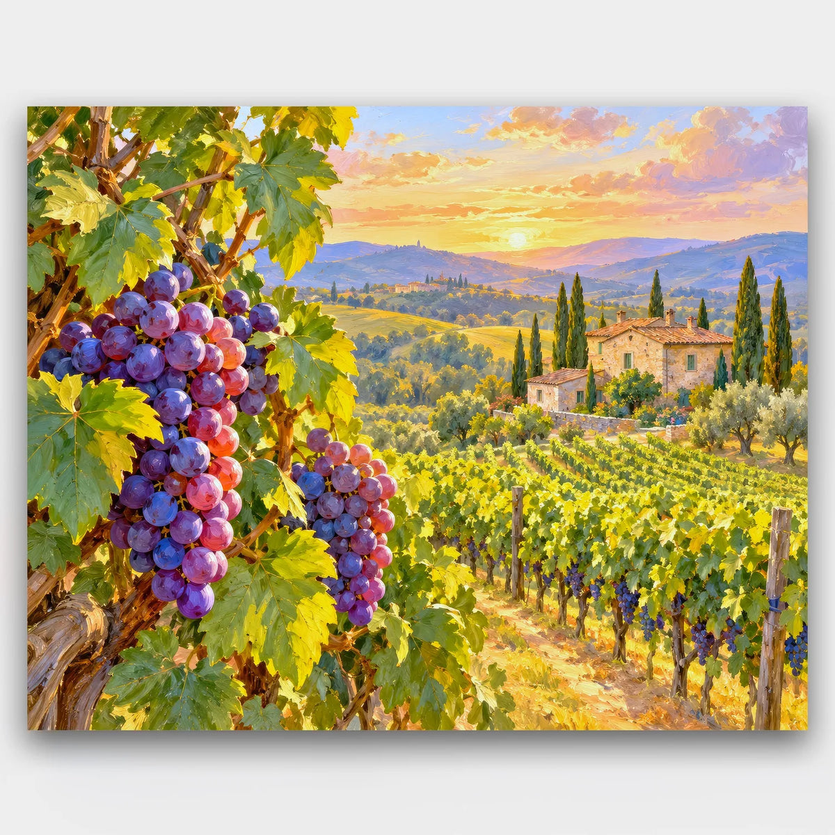 Golden Hour Vineyard paint by numbers kit of purple grape clusters in front of vineyard rows leading to a stone farmhouse