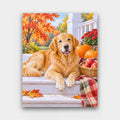 Golden Porch Days paint by numbers kit of a golden retriever resting on white porch steps with pumpkins, apples and a plaid blanket