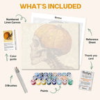 What's included in the Jack O’Death paint by numbers kit: numbered linen canvas, reference sheet, color guide, 24 acrylic paints, 3 brushes and thank you card