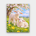 Lambs Under the Blossom paint by numbers kit of two white lambs in a meadow of buttercups beneath a blossoming tree