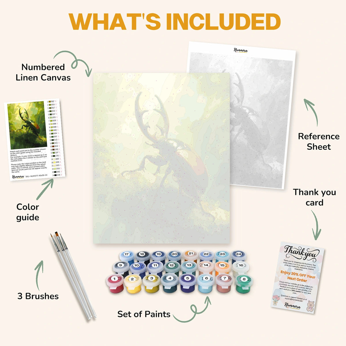 What's included in the Majestic Stag Beetle paint by numbers kit: numbered linen canvas, reference sheet, color guide, 24 acrylic paints, 3 brushes and thank you card