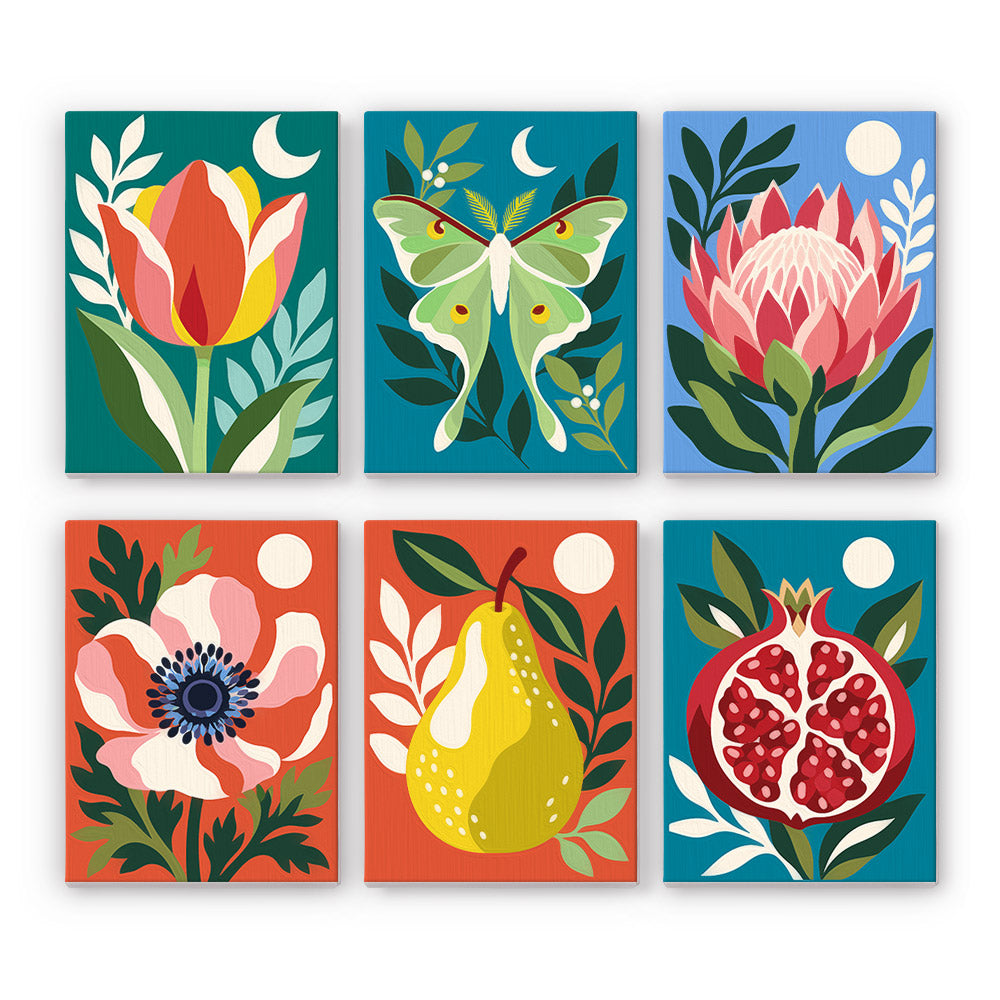 Moonlit Botanicals mini paint by numbers set: six designs of a tulip, luna moth, protea, anemone, pear and pomegranate