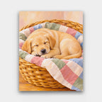 Napping Lab Puppy paint by numbers kit of a sleeping yellow Labrador puppy curled in a wicker basket with a patchwork quilt