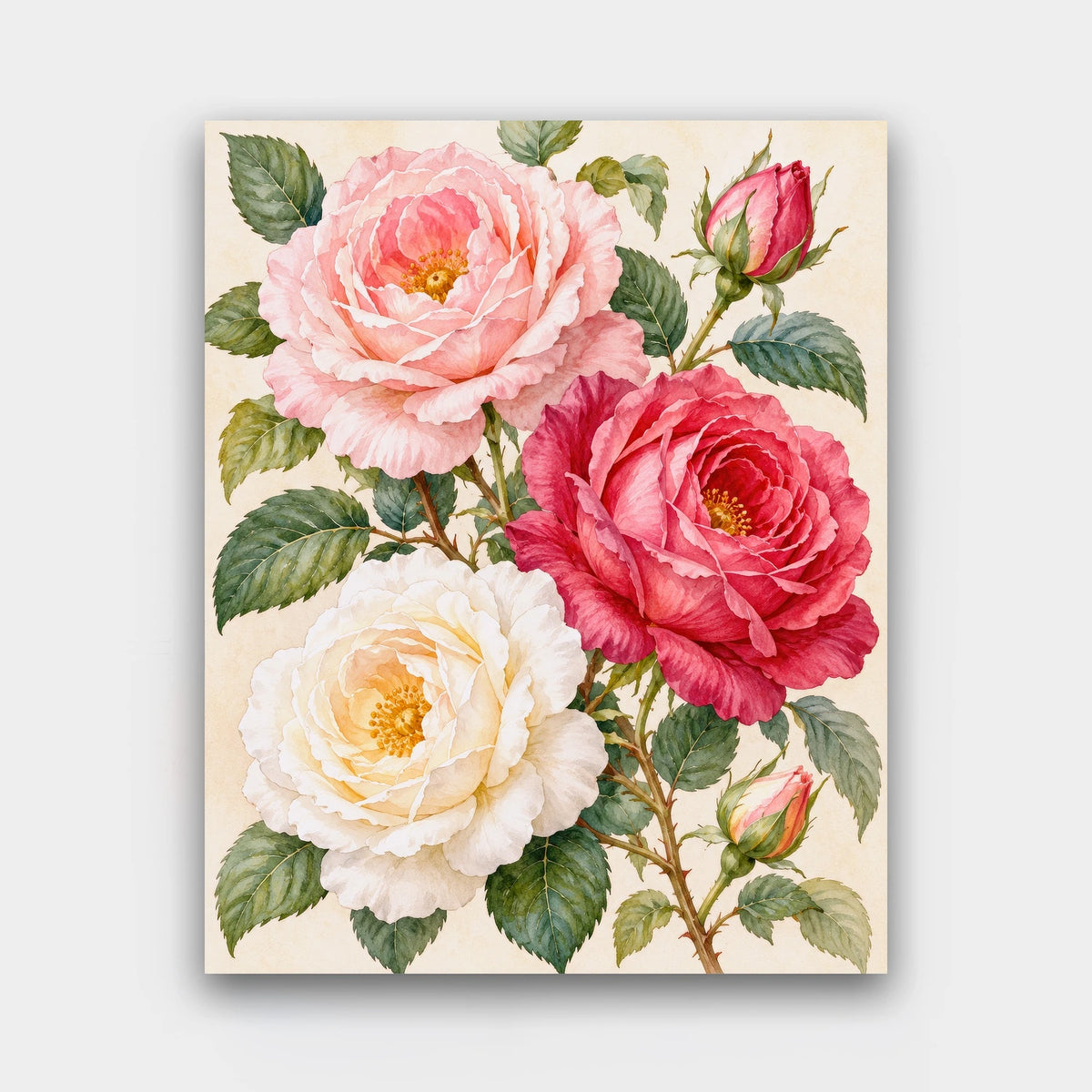 Old Garden Roses paint by numbers kit of pink, cream and crimson old garden roses with buds and leaves on cream paper