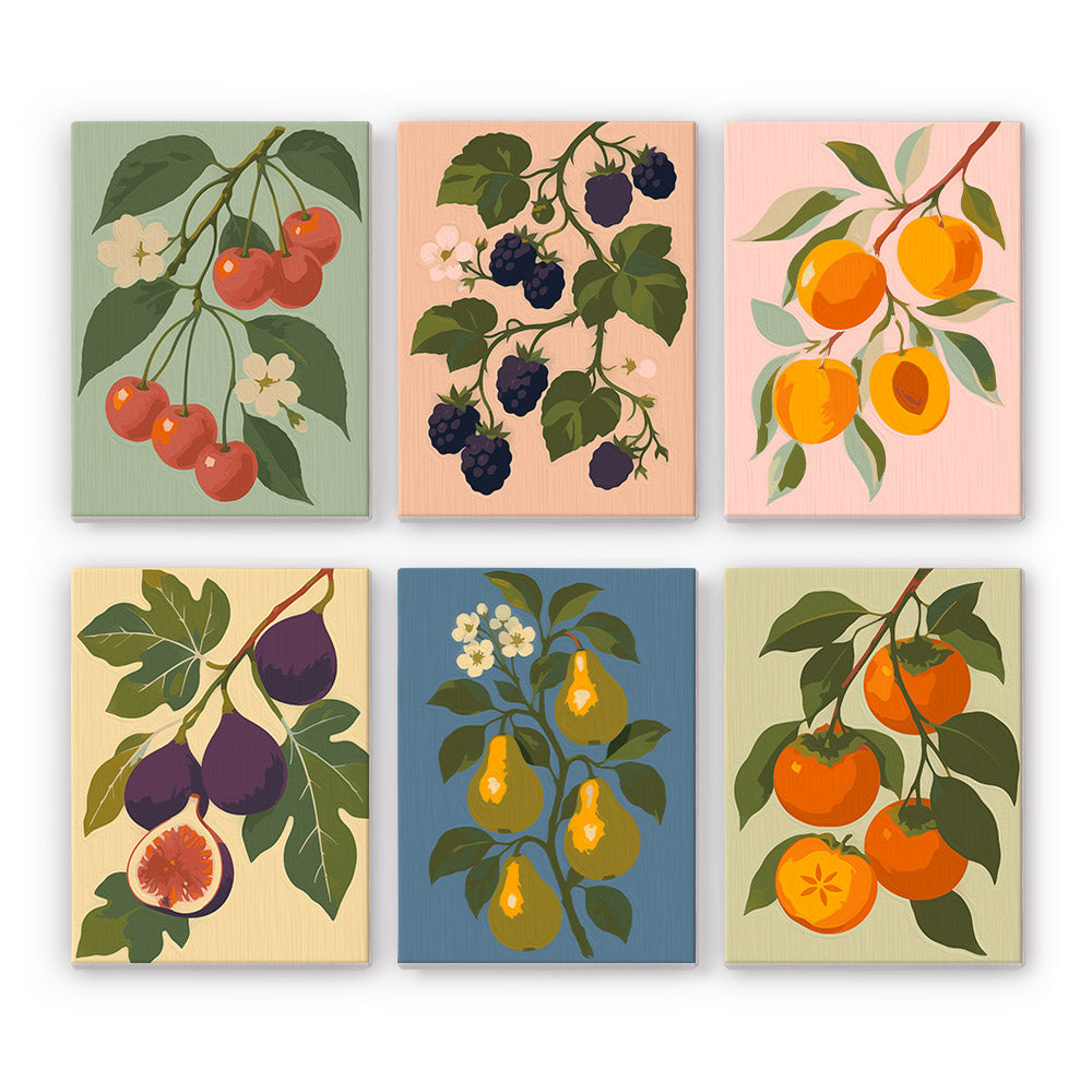 Orchard Harvest mini paint by numbers set: six fruit branches of cherries, blackberries, apricots, figs, pears and persimmons