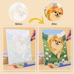 Before and after of a Pomeranian Days mini paint by numbers canvas