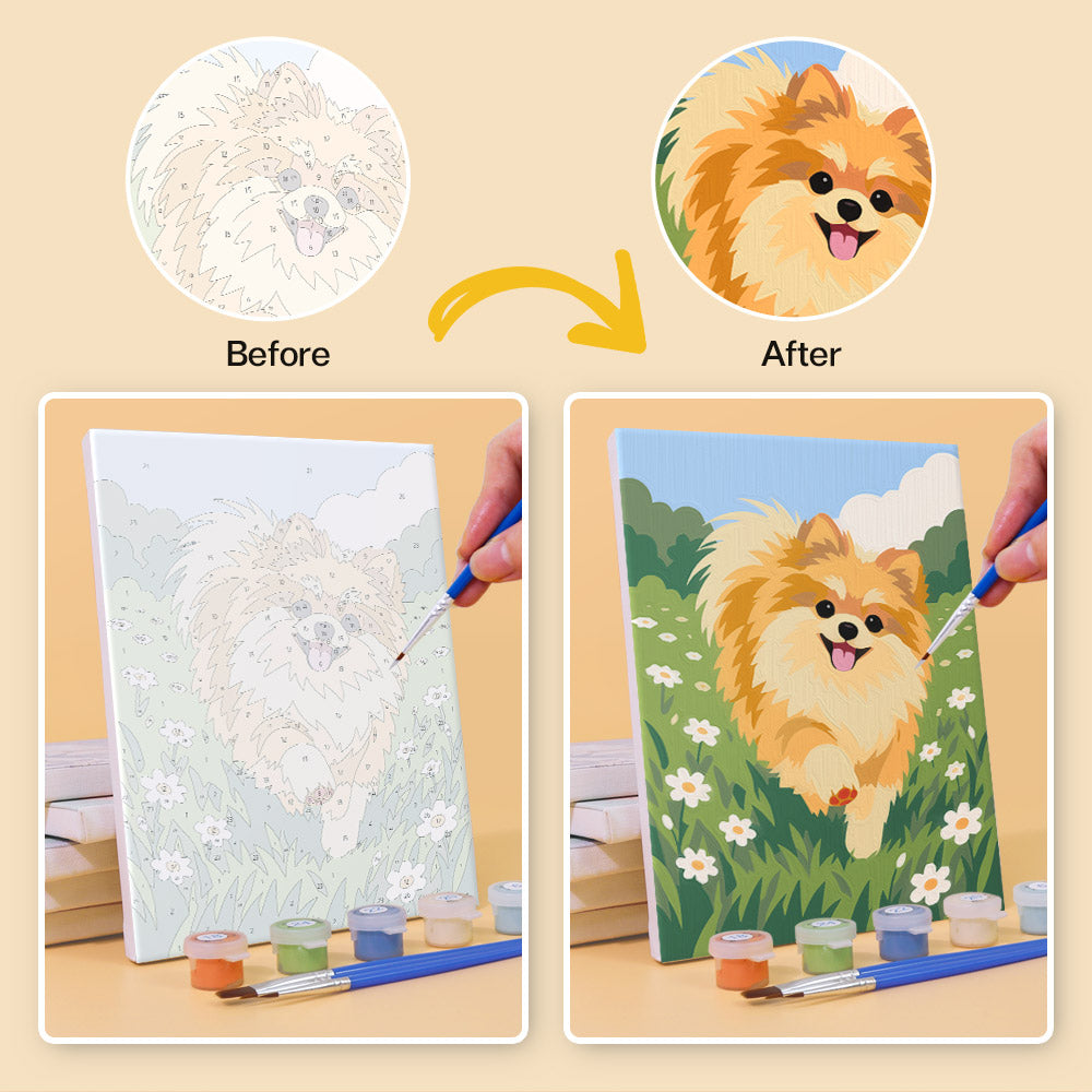 Before and after of a Pomeranian Days mini paint by numbers canvas