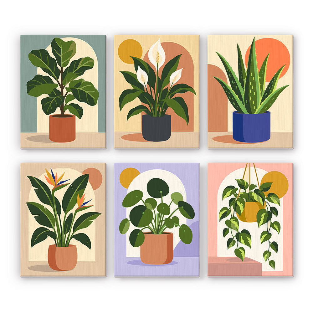 Potted Greens mini paint by numbers set: six designs of houseplants in pots against soft arches