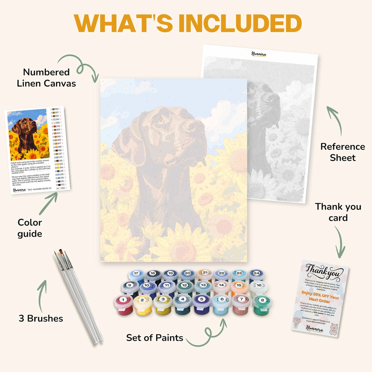 What's included in the Regal Lab Among Sunflowers paint by numbers kit: numbered linen canvas, reference sheet, color guide, 24 acrylic paints, 3 brushes and thank you card
