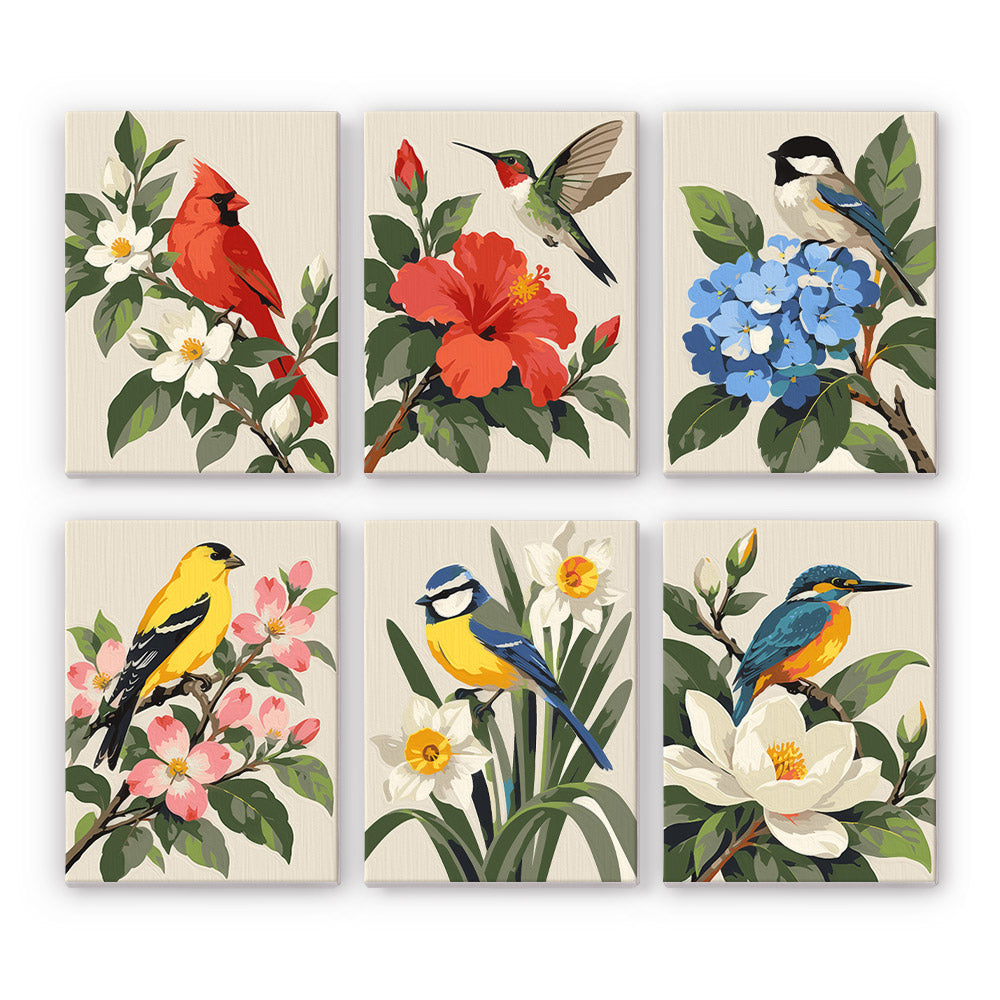 Songbird Blooms mini paint by numbers set: six designs of a cardinal, hummingbird, chickadee, goldfinch, blue tit and kingfisher with flowers