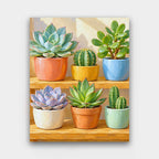 Sunny Succulent Shelf paint by numbers kit of potted succulents and small cacti in colorful pots on a sunny wooden shelf