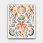 The Seashell Collection paint by numbers kit of a symmetrical arrangement of seashells, starfish, sea urchins and coral on cream