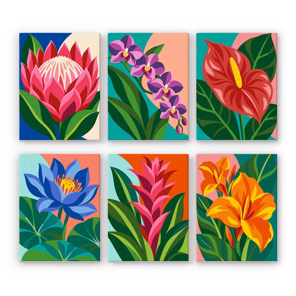 Tropical Blooms mini paint by numbers set: six bold tropical flowers, including a protea, orchids, an anthurium, a lotus, a bromeliad and canna lilies