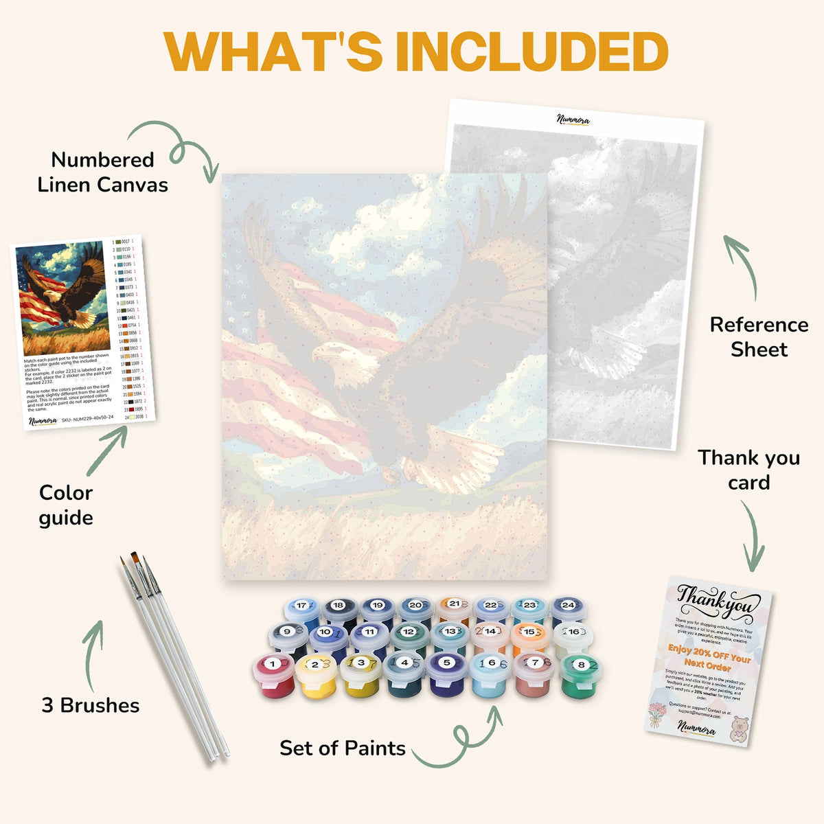 What's included in the Wings of Freedom paint by numbers kit: numbered linen canvas, reference sheet, color guide, 24 acrylic paints, 3 brushes and thank you card